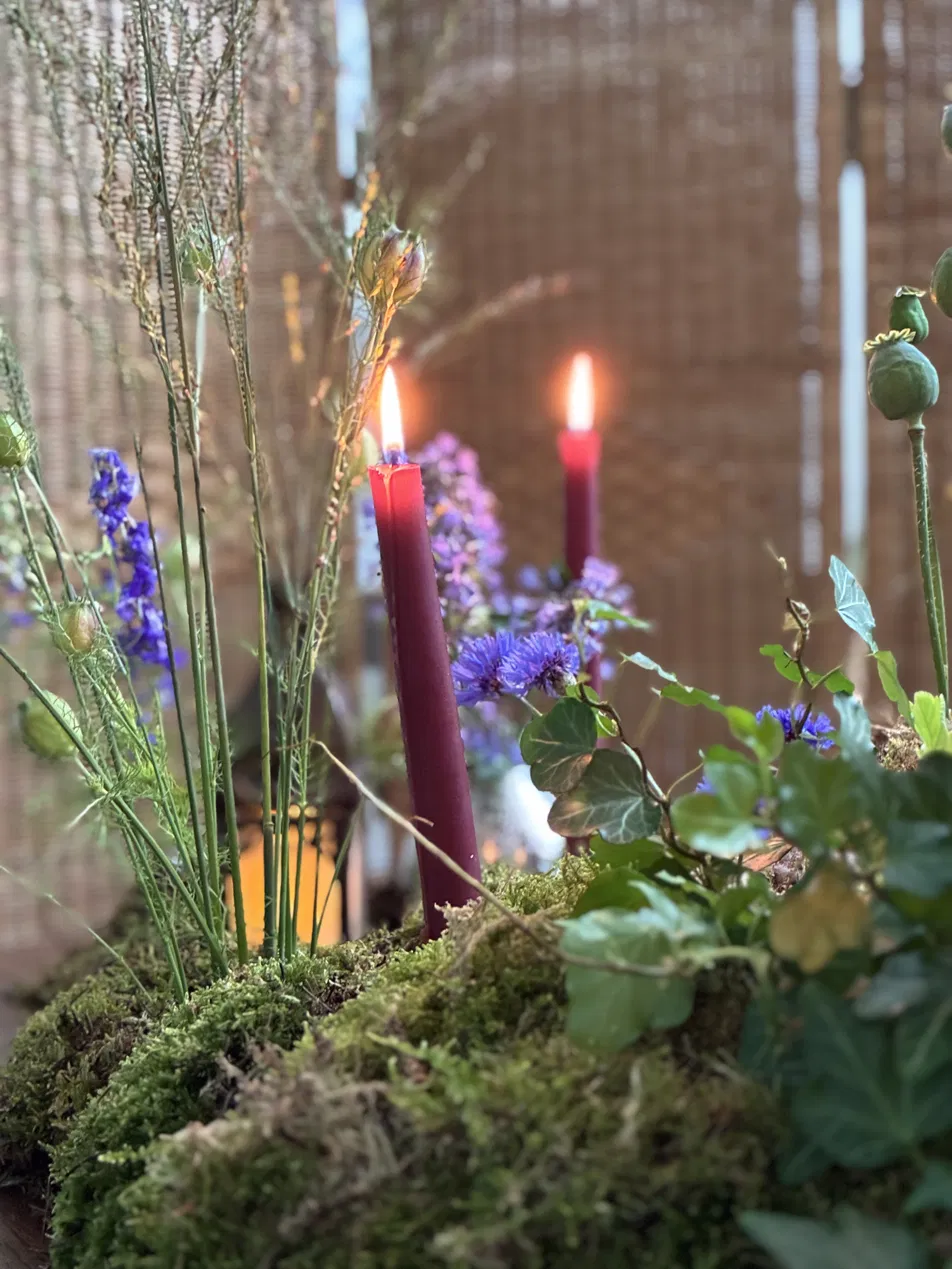 Candlelight set into moss