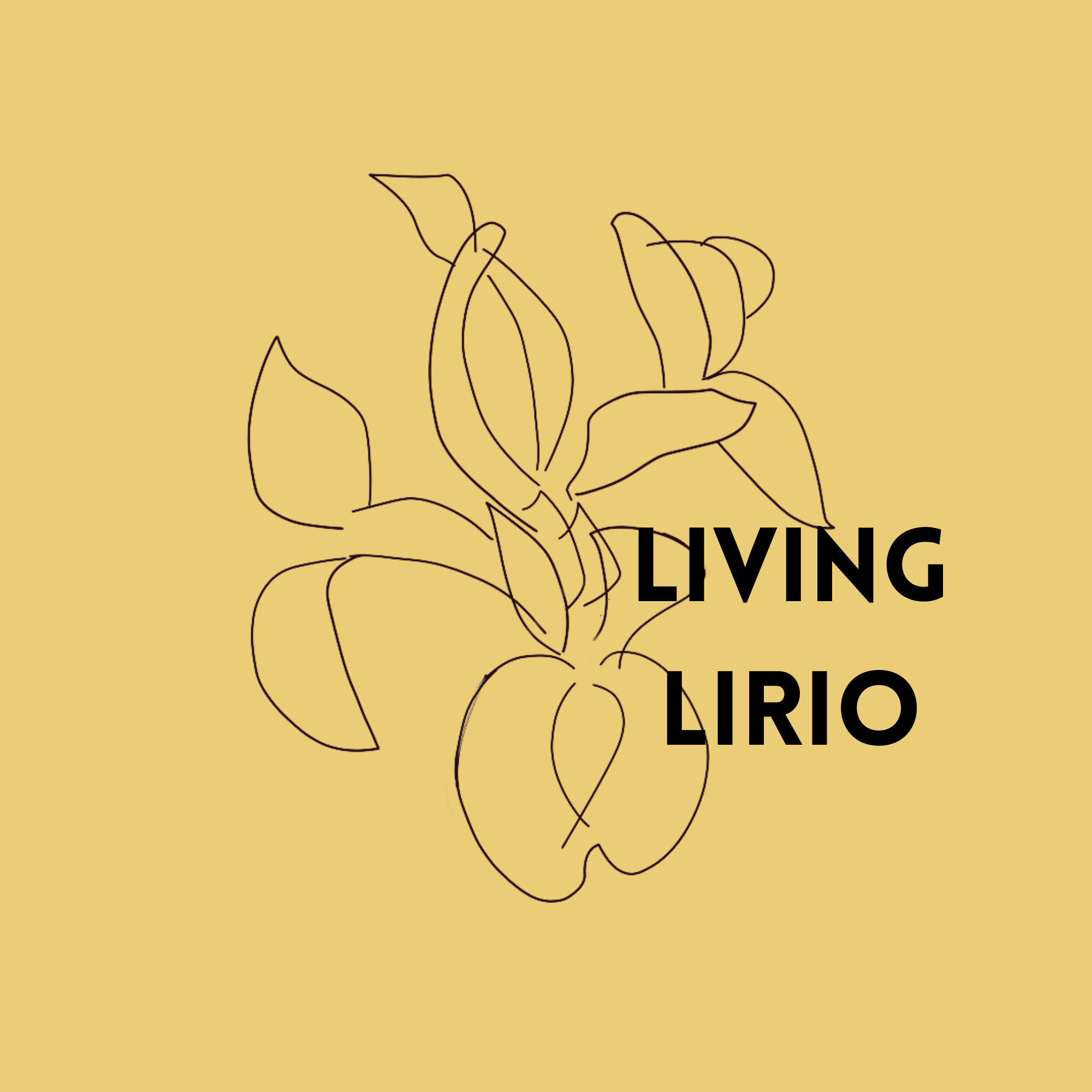 Living Lirio